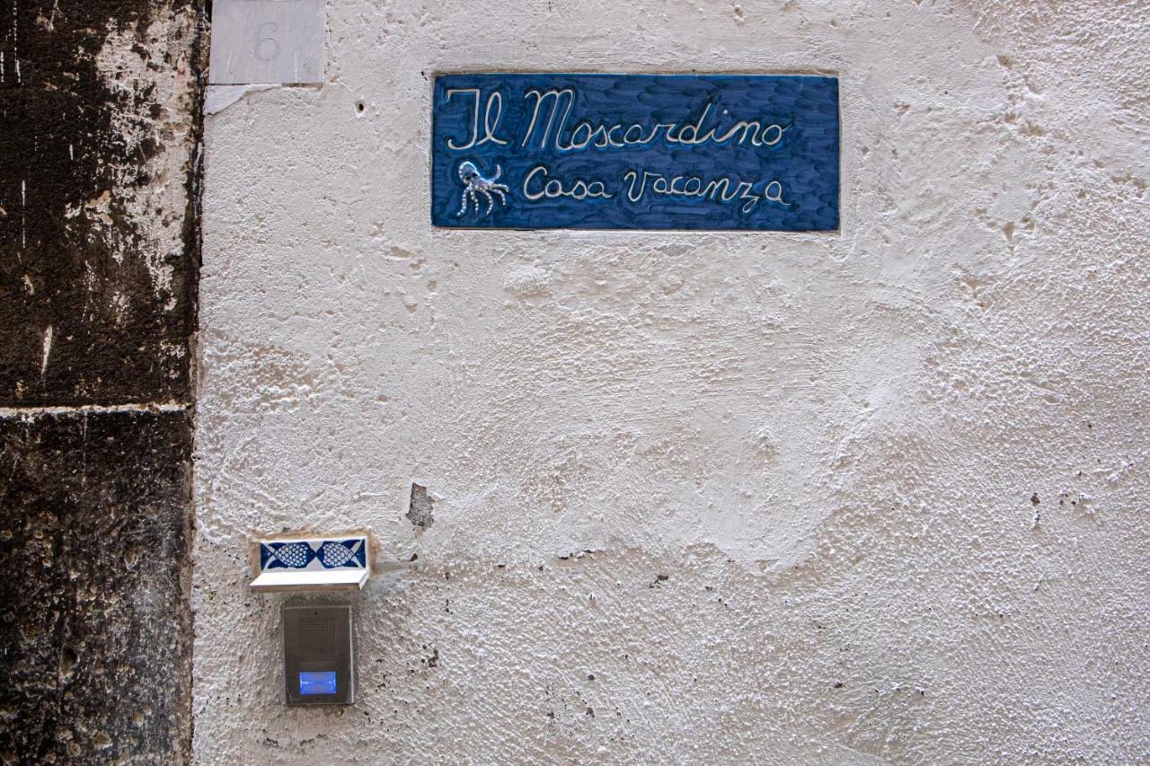 Il Moscardino Apartment Vico Equense Exterior photo